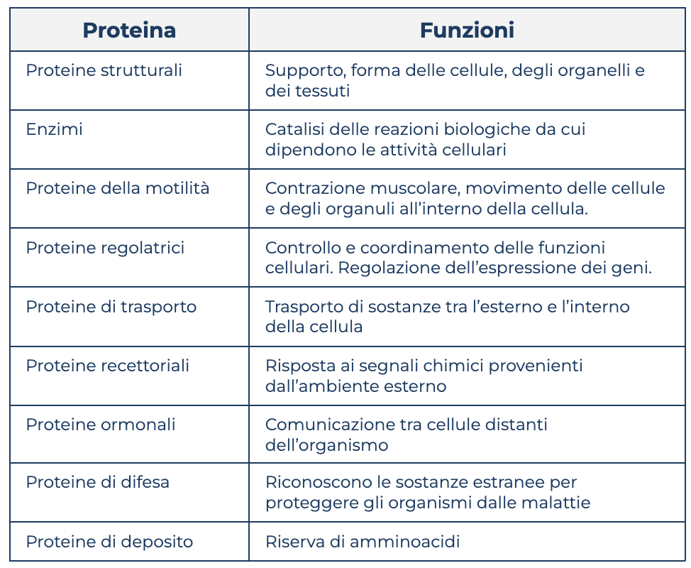 tabella proteina e funzioni