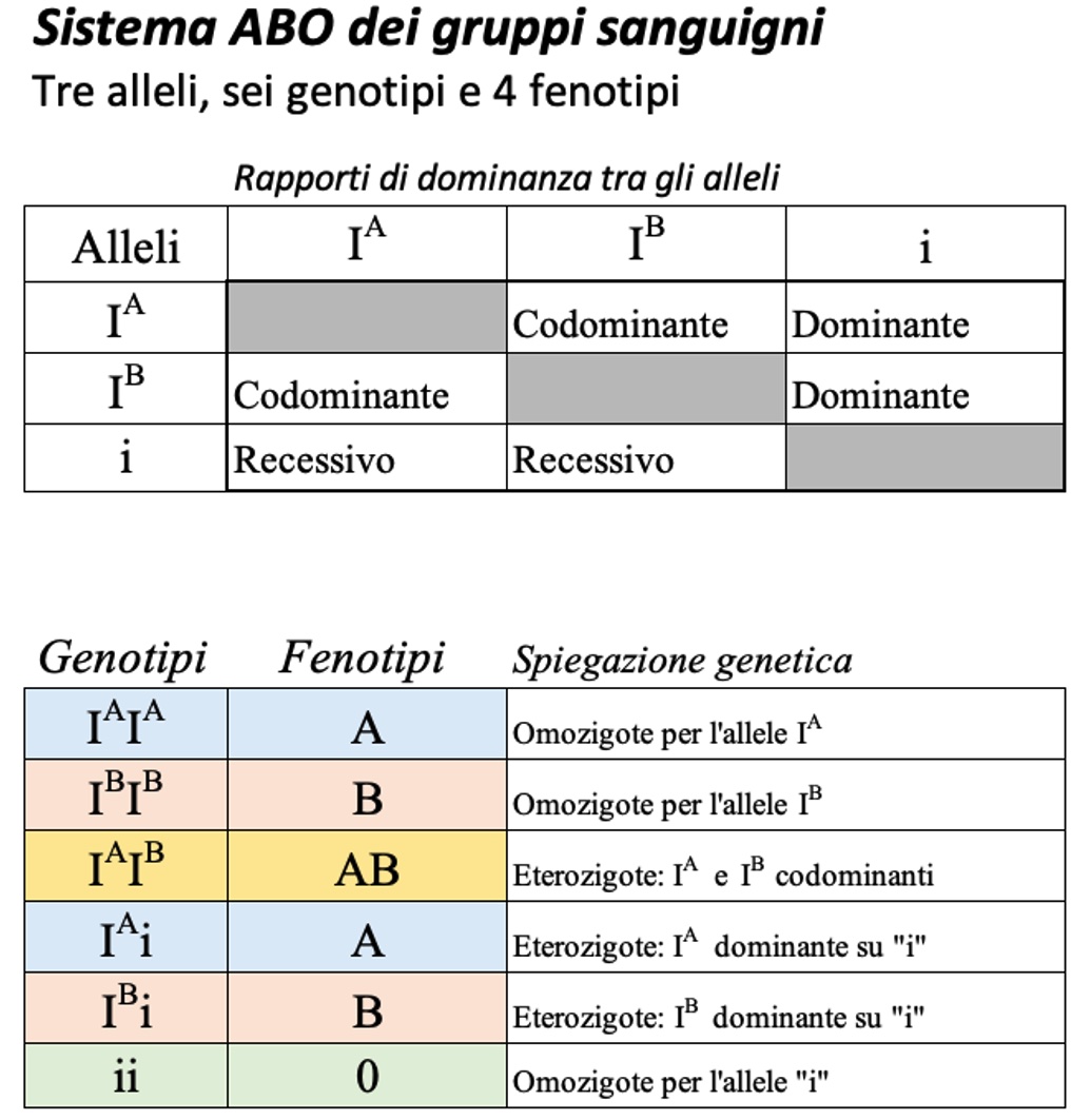 stistema ABO