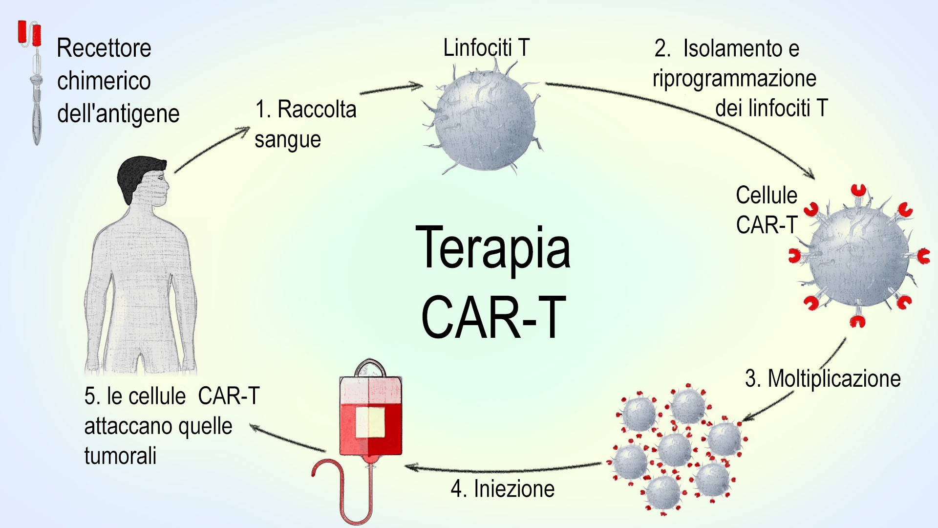 terapia car-t
