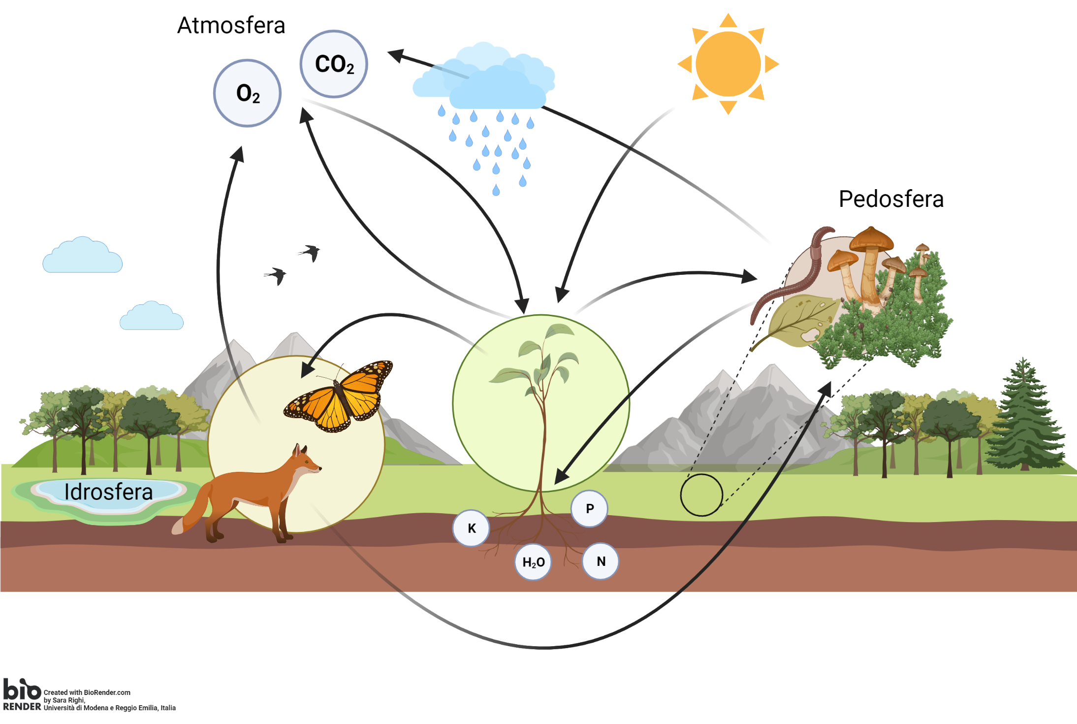 ecosistema