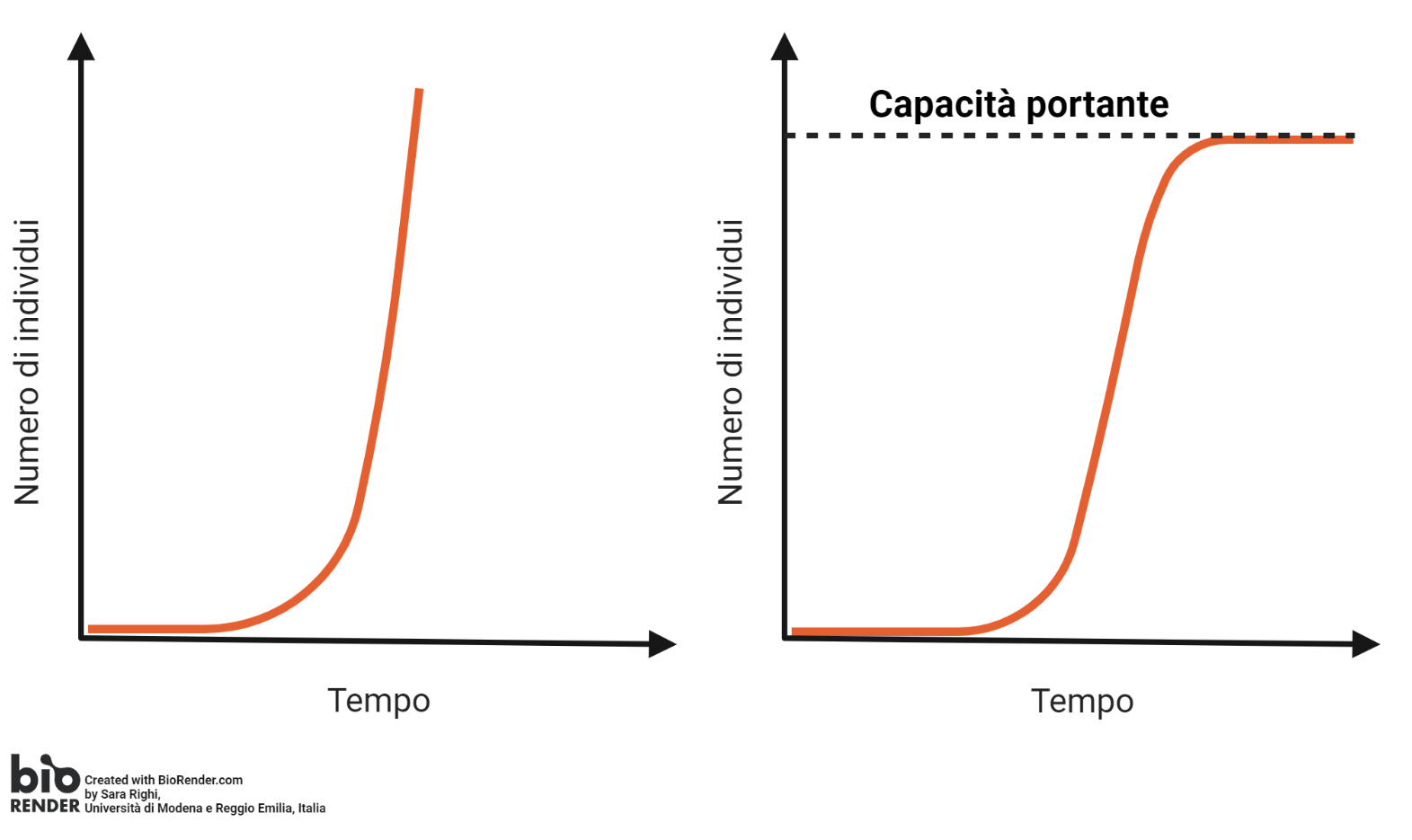 curve logistiche 